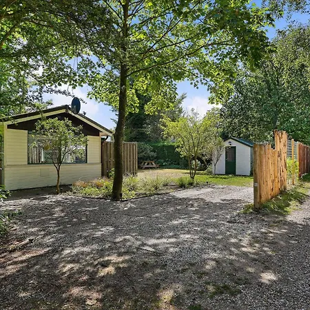 Tatil Evi Prinsenhof 43 - *